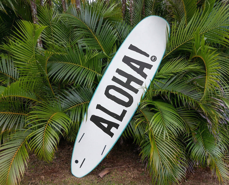 7'0 Da Regulator - Back
