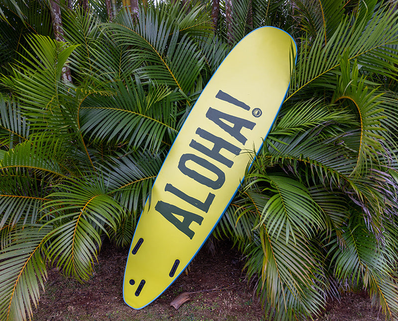 8'0 Da Regulator - Back