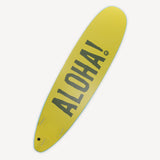 Fun Day Surf 8'0 Da Regulator soft top surfboard, back view